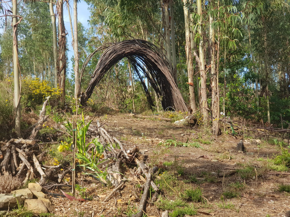 Instead of fighting nature, we collaborate with it.